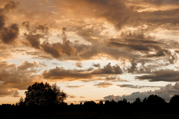 Obraz premium Horizon panorama and dramatic twilight sky and cloud sunset background. Natural sky background texture, beautiful color. 