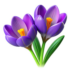 Naklejka premium 3d purple crocus flowers isolated on transparent background