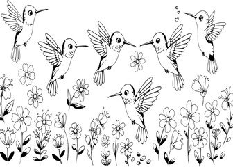 Cute hummingbird and flowers set, vector illustration.

