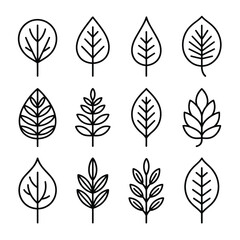 Collection of 12 unique hand-drawn outline leaf icons for nature and botanical designs silhouette vector illustration white background