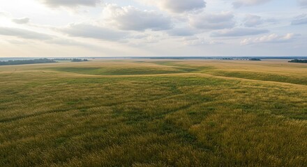 Obraz premium Rolling Wheat Fields Under Cloudy Sky, Serene Landscape, Aerial View.