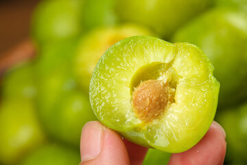 Fresh Green Sichuan Plum Half Held in Hand with Natural Garden Background