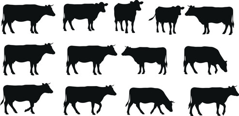 Silhouette cows in various standing and walking poses, farm animals, livestock silhouettes, grazing cattle, rural agriculture, black and white vector, cattle herd, bovine animals, farming concept, nat