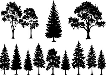 Fototapeta premium Vintage trees and forest silhouettes set with Fir tree silhouette and vector 