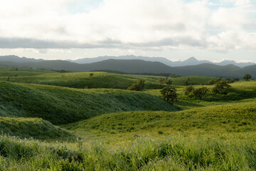 Obraz premium 日本の風景