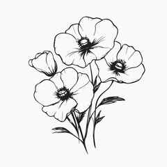 white flower isolated on white