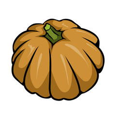 Hand Drawn Pumpkin Vector Illustration