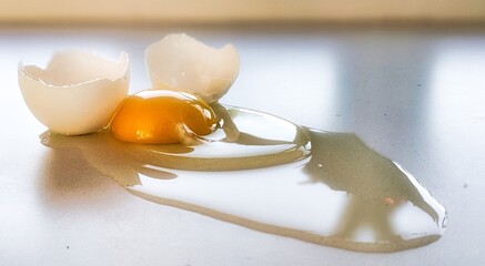 Broken egg with yolk and shell