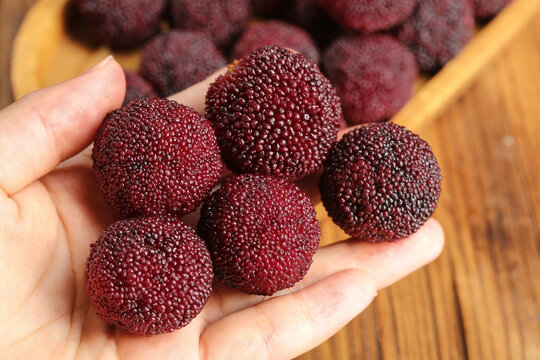 Fresh Yangmei Chinese Bayberry Fruit from Xianju - Traditional Asian Red Berries in Hands on Wooden Background