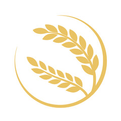 Golden wheat ears in a circular frame grain agriculture