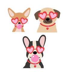 set of isolated dogs wearing heart glasses blowing bubblegum
