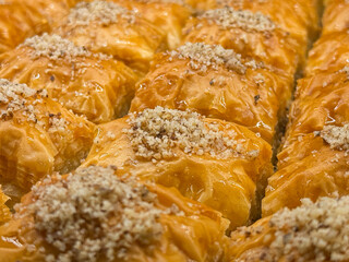 Traditional Turkish Baklava Dessert with Walnuts and Honey Syrup, Closeup Background