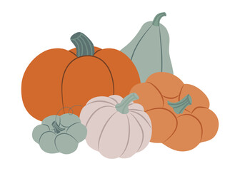 Vector illustration of various pumpkins in different colors and shapes. Ideal for autumn themes, harvest festivals, and fall decorations, showcasing seasonal diversity and richness.