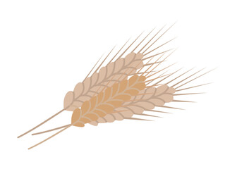 Wheat ears vector illustration showcases detailed wheat stalks against a white background. The design captures the agricultural essence with natural elements, ideal for farm-related themes.