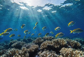 Naklejka premium Fish swimming above coral reef with sunlight rays