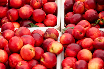 Fresh Shaanxi Nectarines in Market Baskets - Ripe Red Yellow Stone Fruit from Chinese Orchard