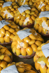 Fresh Small Taiwanese Hainan Mangoes Neatly Arranged in Market Bags - Tropical Fruit Display