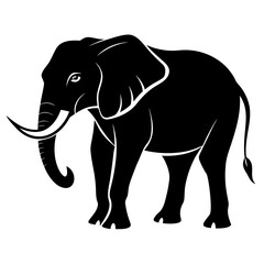 elephant vector illustration