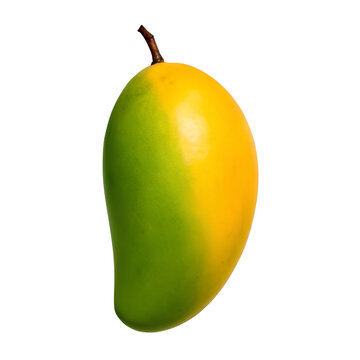 mango fruit isolated on transparent background