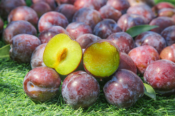 Fresh Red and Green Plums Sitting in Meadow Grass - Crunchy Summer Fruit Harvest