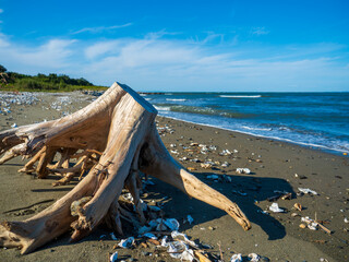 A large piece of driftwood rests on a beach with a clear blue sky and calm, sparkling sea. 