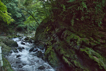A view of the Iwato River.   Takachiho, Miyazaki, Japan
