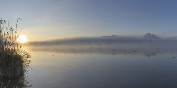Sunrise at Lake Hopfensee near F&uuml;ssen, with the Tegelberg massif and the S&auml;uling behind it, Ostallg&auml;u, Allg&auml;u, Upper Swabia, Swabia, Bavaria, Germany