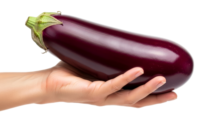 a hand presents a luscious eggplant a culinary delight awaits, isolated on transparent background