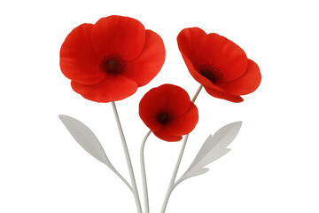 Obraz premium 3d rendering of three red poppies blooming with white stems and leaves, isolated on a transparent background