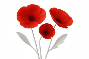 3d rendering of three red poppies blooming with white stems and leaves, isolated on a transparent background