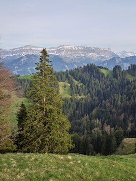 View from the R&auml;misgummen to the Schrattenfluh, Emmental, Canton Bern, Switzerland