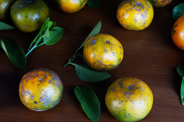 Aromatic Citrus Fruits with Lush Green Leaves on Dark Wood Background: A Still Life Photography