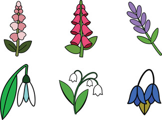 Collection of Six Beautiful Wildflowers Illustrated in a Simple Cartoon Style