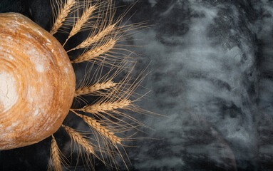 Freshly baked bread with wheat spikes arranged creatively on a dark background during daylight hours