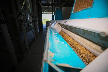 Electrical mill machinery for the production of wheat flour. Grain equipment.