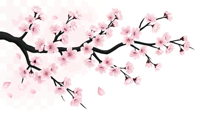 Vector illustration of a delicate cherry blossom branch with pink flowers