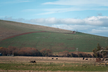 Fototapeta premium pivot irrigation on a hill farm growing vegetables in a field irrigation with water from a river. sprinklers watering and producing food on a farm in australia in summer