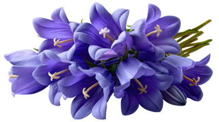 Celestial Campanula: A cluster of vibrant, purple campanula flowers unfolds in a display of natural elegance, with each delicate petal and pistil contributing to the bouquet's enchanting charm.