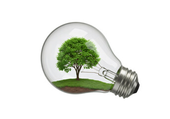 透明電球の中に木と草のある環境コンセプトイメージ 黒背景に分離