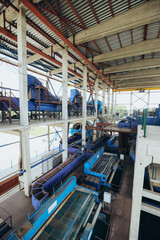Fototapeta premium beet cleaning and feeding plant
