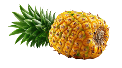 Tropical Pineapple: The photo features a close-up shot of a ripe pineapple, showcasing its spiky texture and vibrant colors.
