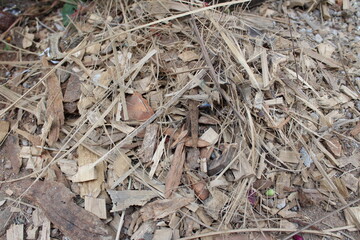 background of wood