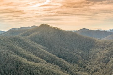 Fototapeta premium jacksonville, florida