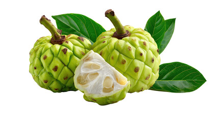 Fresh Noni Fruit Display: A close-up captures the striking texture and vibrant color of ripe noni fruits, their unique shapes framed by lush green leaves. A visual invitation to the tropics.