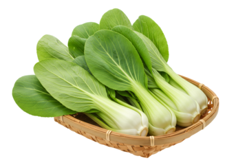 新鮮な緑のパックチョイが籐のバスケットに盛られた透明な背景