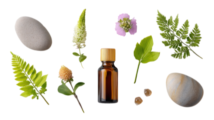 Botanical Bliss: A selection of organic elements, including a bottle of essential oil, stone, and fresh botanical specimens, arranged in a minimalist and photorealistic display of purity and calm.