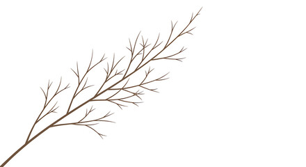 Fototapeta premium Bare tree branch, showcasing winters stark beauty, natures resilience, and the delicate intricacies of growth