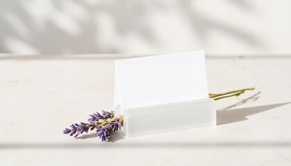 Minimalist white box with lavender flower on light background  