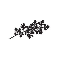 Arugula Vector (1).eps