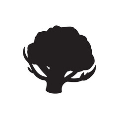 Cauliflower Vector (4).eps